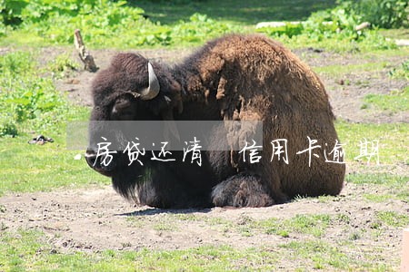 房贷还清 信用卡逾期 房贷还清 信用卡逾期